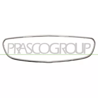 PRASCO ME0452305 - Cadre, grille de radiateur