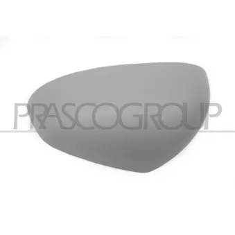 Revêtement, rétroviseur extérieur PRASCO OEM A4538110101