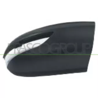 Revêtement, rétroviseur extérieur PRASCO OEM A16981101607C45