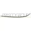 PRASCO ME4201228 - Baguette et bande protectrice, pare-chocs avant gauche