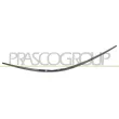 Baguette et bande protectrice, pare-chocs arrière droit PRASCO [ME6421243]