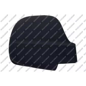 Revêtement, rétroviseur extérieur PRASCO OEM A0008110622