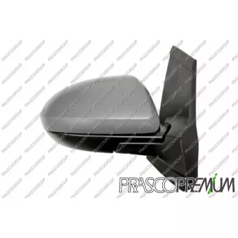 Rétroviseur extérieur PRASCO OEM DF7469120D11