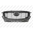 PRASCO MZ6022001 - Grille de radiateur