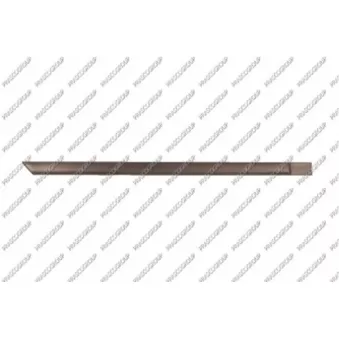 Baguette et bande protectrice, porte arrière droit PRASCO OP0131453