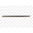 PRASCO OP0131454 - Baguette et bande protectrice, porte arrière gauche