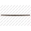 Baguette et bande protectrice, porte avant droit PRASCO [OP0171403]