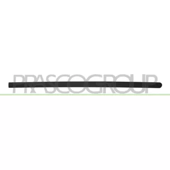PRASCO OP0301413 - Baguette et bande protectrice, porte avant droit