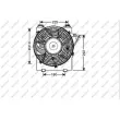 PRASCO OP030F002 - Ventilateur, refroidissement du moteur