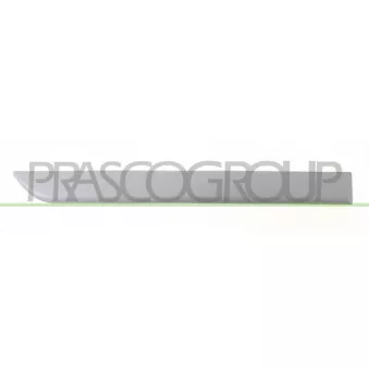 PRASCO OP0341463 - Baguette et bande protectrice, porte arrière droit