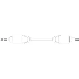 Arbre de transmission GENERAL RICAMBI PE3012