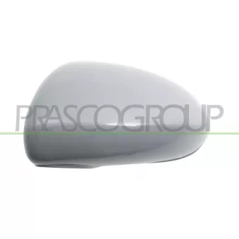 Revêtement, rétroviseur extérieur PRASCO OEM 13187631