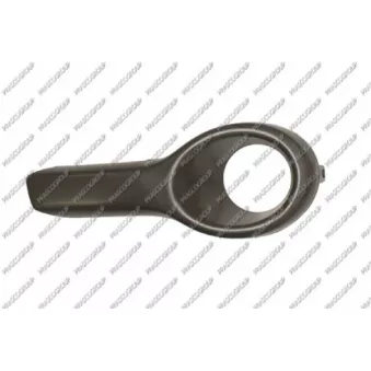 Cadre, projecteur antibrouillard PRASCO OP3051249