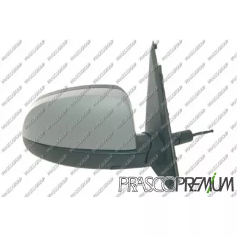 Rétroviseur extérieur PRASCO OEM 6428910