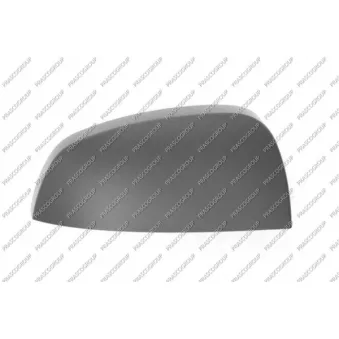 Revêtement, rétroviseur extérieur PRASCO OEM 6428910