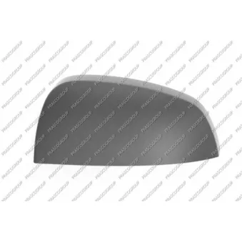 Revêtement, rétroviseur extérieur PRASCO OEM 6428909