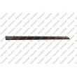PRASCO OP4101403 - Baguette et bande protectrice, porte avant droit