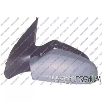 Rétroviseur extérieur PRASCO OEM 6428185