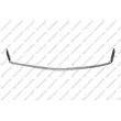 Baguette et bande protectrice, grille de radiateur PRASCO [OP4142226]