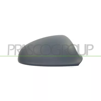 Revêtement, rétroviseur extérieur PRASCO OEM 1428464