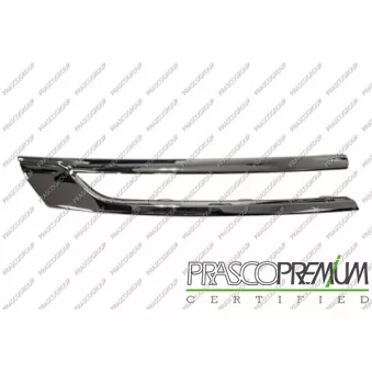 Baguette et bande protectrice, grille de radiateur PRASCO OEM 13423641