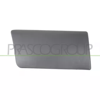 PRASCO OP9321455 - Baguette et bande protectrice, porte arrière droit