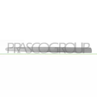 PRASCO PG0111423 - Baguette et bande protectrice, porte avant droit