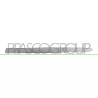 Baguette et bande protectrice, porte avant gauche PRASCO OEM 8545Y7