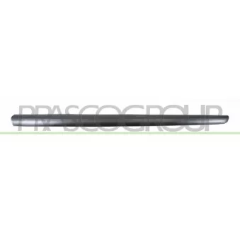 Baguette et bande protectrice, porte avant droit PRASCO PG3201413