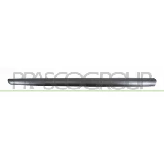 Baguette et bande protectrice, porte avant gauche PRASCO PG3201414