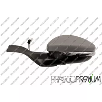 Rétroviseur extérieur PRASCO OEM 1611240280