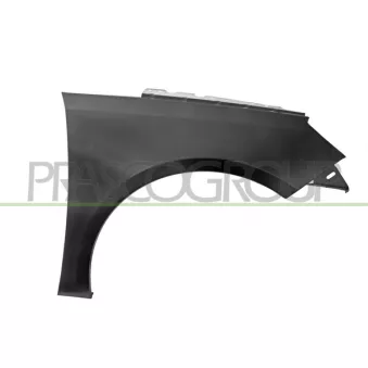 Aile avant droit PRASCO PG4283013