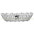 PRASCO PG5242011 - Grille de radiateur
