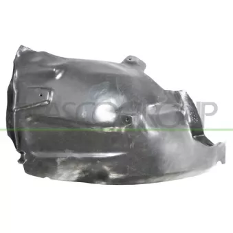 Garniture, passage de roue avant droit PRASCO PG5303613