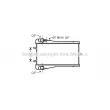 PRASCO PR2043 - Radiateur, refroidissement du moteur