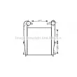 Intercooler, échangeur PRASCO [RE4099]