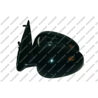 PRASCO RG4227114 - Rétroviseur extérieur