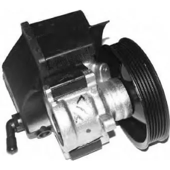 Pompe hydraulique, direction SPIDAN 53548
