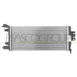 PRASCO RN652R004 - Radiateur, refroidissement du moteur