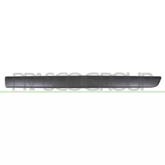 Baguette et bande protectrice, porte avant droit PRASCO RN9181403