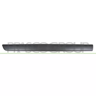 Baguette et bande protectrice, porte avant gauche PRASCO RN9181404