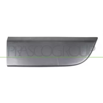 PRASCO RN9541403 - Baguette et bande protectrice, porte avant droit