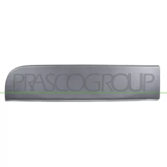 PRASCO RN9541457 - Baguette et bande protectrice, porte arrière droit