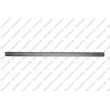 PRASCO SK0241404 - Baguette et bande protectrice, porte avant gauche