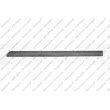 PRASCO SK0241454 - Baguette et bande protectrice, porte arrière gauche