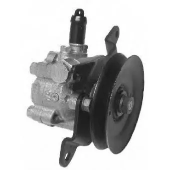 Pompe hydraulique, direction GENERAL RICAMBI OEM 4911074N60 Pompe hydraulique, direction GENERAL RICAMBI OEM 4911074N60