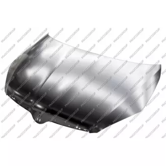 PRASCO SK3253100 - Capot-moteur