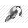 PRASCO SK4223603 - Doublure d'aile avant droit