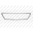 Cadre, grille de radiateur PRASCO [ST0392305]