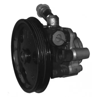 Pompe hydraulique, direction GENERAL RICAMBI OEM 4656402AC